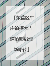 东营区牛庄镇探索占道晒粮治理新路径