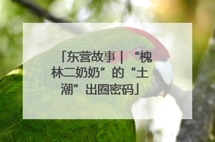 东营故事｜“槐林二奶奶”的“土潮”出圈密码