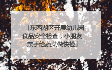 东西湖区开展幼儿园食品安全检查，小朋友亲手给蔬菜做快检