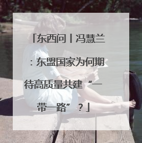 东西问丨冯慧兰：东盟国家为何期待高质量共建“一带一路”？
