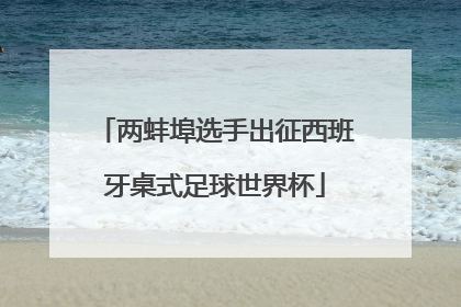 两蚌埠选手出征西班牙桌式足球世界杯