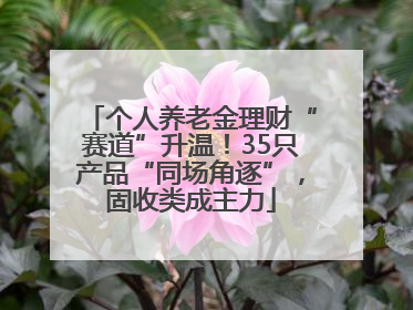 个人养老金理财“赛道”升温！35只产品“同场角逐”，固收类成主力