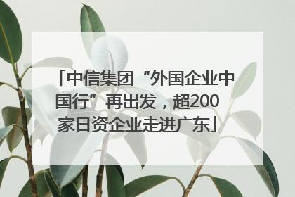 中信集团“外国企业中国行”再出发，超200家日资企业走进广东