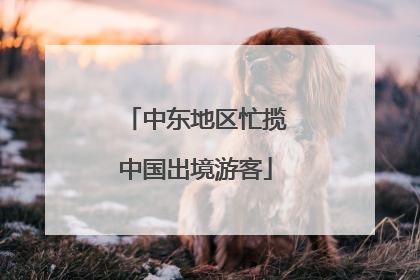 中东地区忙揽中国出境游客
