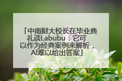 中南财大校长在毕业典礼谈Labubu：它可以作为经典案例来解析，AI难以给出答案