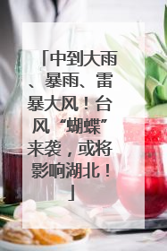中到大雨、暴雨、雷暴大风！台风“蝴蝶”来袭，或将影响湖北！