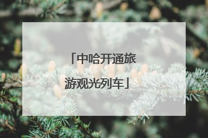 中哈开通旅游观光列车