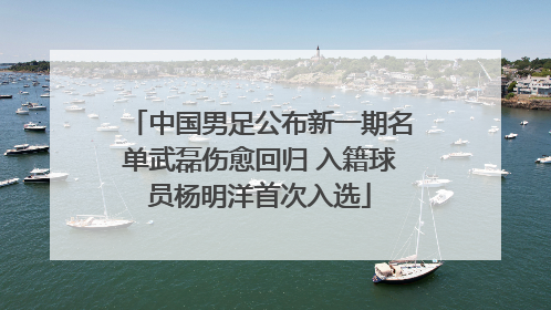 中国男足公布新一期名单武磊伤愈回归 入籍球员杨明洋首次入选