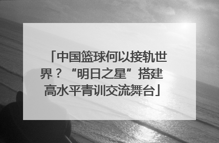 中国篮球何以接轨世界？“明日之星”搭建高水平青训交流舞台