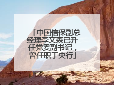 中国信保副总经理李文森已升任党委副书记，曾任职于央行