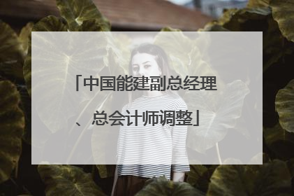 中国能建副总经理、总会计师调整