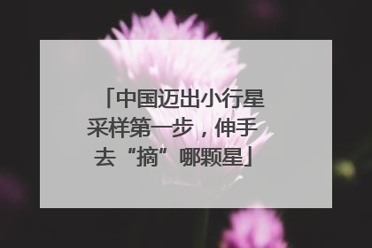 中国迈出小行星采样第一步，伸手去“摘”哪颗星