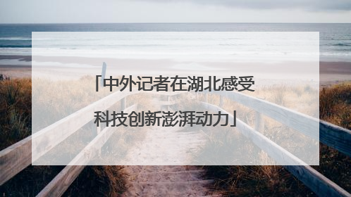 中外记者在湖北感受科技创新澎湃动力