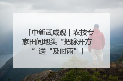 中新武威观｜农技专家田间地头“把脉开方”送“及时雨”