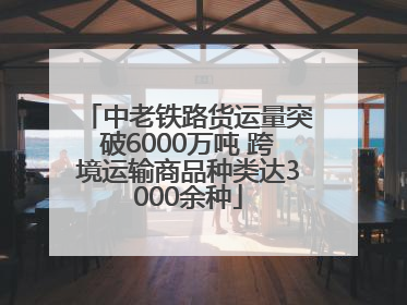 中老铁路货运量突破6000万吨 跨境运输商品种类达3000余种