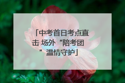 中考首日考点直击 场外“陪考团”温情守护