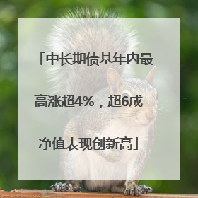 中长期债基年内最高涨超4%，超6成净值表现创新高