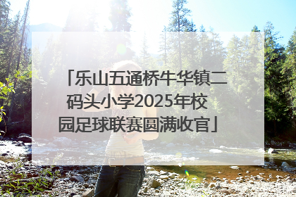 乐山五通桥牛华镇二码头小学2025年校园足球联赛圆满收官