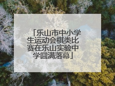 乐山市中小学生运动会棋类比赛在乐山实验中学圆满落幕