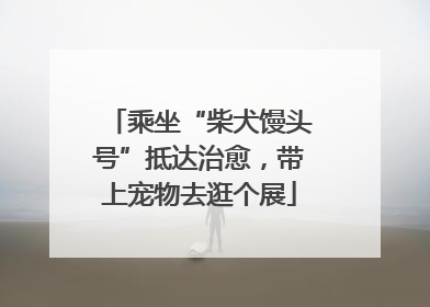 乘坐“柴犬馒头号”抵达治愈，带上宠物去逛个展