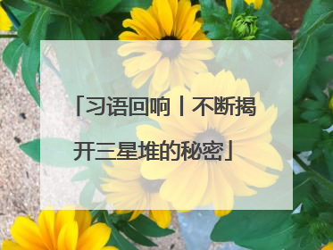 习语回响丨不断揭开三星堆的秘密