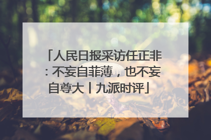 人民日报采访任正非：不妄自菲薄，也不妄自尊大丨九派时评