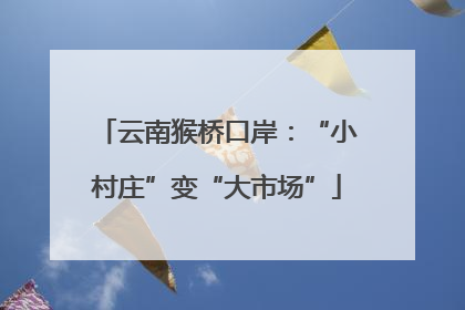 云南猴桥口岸：“小村庄”变“大市场”