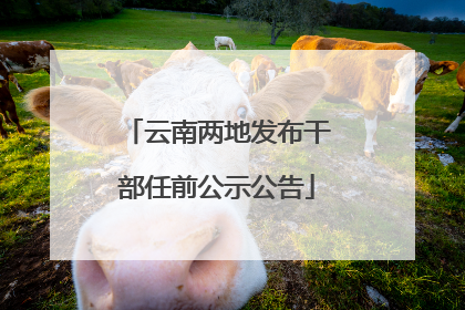 云南两地发布干部任前公示公告