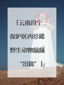 云南昌宁：保护区内珍稀野生动物频频“出镜”