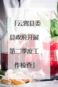 云霄县委县政府开展第二季度工作检查