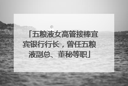 五粮液女高管接棒宜宾银行行长，曾任五粮液副总、董秘等职