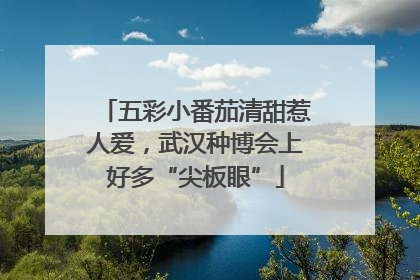 五彩小番茄清甜惹人爱，武汉种博会上好多“尖板眼”
