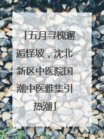 五月寻槐邂逅怪坡，沈北新区中医院国潮中医雅集引热潮