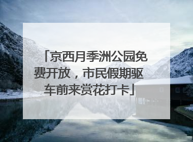 京西月季洲公园免费开放，市民假期驱车前来赏花打卡