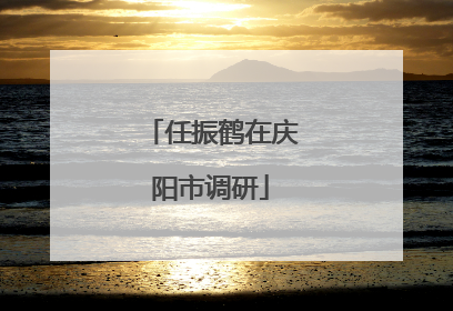 任振鹤在庆阳市调研