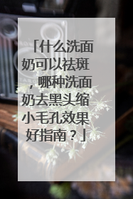 什么洗面奶可以祛斑，哪种洗面奶去黑头缩小毛孔效果好指南？