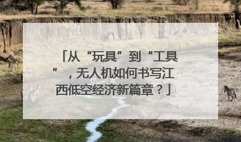 从“玩具”到“工具”，无人机如何书写江西低空经济新篇章？