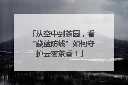 从空中到茶园，看“藏蓝防线”如何守护云雾茶香！