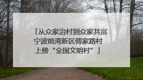从众家治村到众家共富 宁波前湾新区傅家路村上榜“全国文明村”
