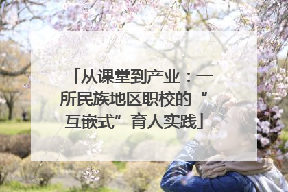 从课堂到产业：一所民族地区职校的“互嵌式”育人实践