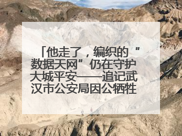 他走了，编织的“数据天网”仍在守护大城平安——追记武汉市公安局因公牺牲民警万松