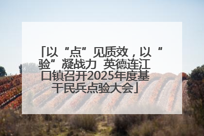 以“点”见质效，以“验”凝战力  英德连江口镇召开2025年度基干民兵点验大会
