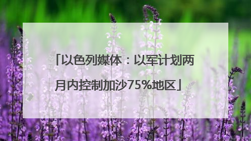 以色列媒体：以军计划两月内控制加沙75%地区