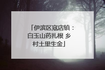 伊滨区寇店镇：白玉山药扎根 乡村土里生金