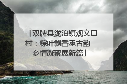 双牌县泷泊镇观文口村：粽叶飘香承古韵 乡情凝聚展新篇
