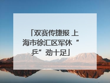 双赛传捷报 上海市徐汇区军休“乒”劲十足