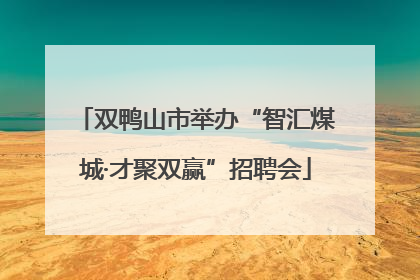 双鸭山市举办“智汇煤城·才聚双赢”招聘会