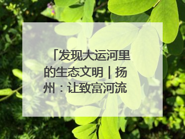 发现大运河里的生态文明｜扬州：让致富河流淌出好生态