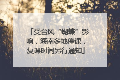 受台风“蝴蝶”影响，海南多地停课，复课时间另行通知