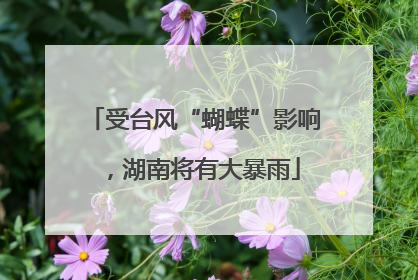 受台风“蝴蝶”影响，湖南将有大暴雨